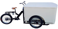Street Food Work Bench for Tricycle and Cargo Bike