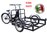ROMA BASIC Triciclo Cargo Bike Bici da Carico