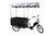 ITALY Triciclo Cargo Bike Posteriore con Differenziale