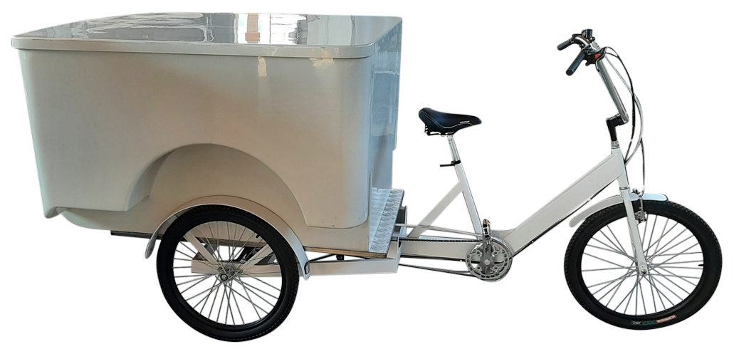 ITALIEN Dreirad Cargo Bike Heck mit Differential