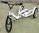 ITALY HD GREEN DELIVERY Triciclo Elettrico Cargo Bike Posteriore con Differenziale