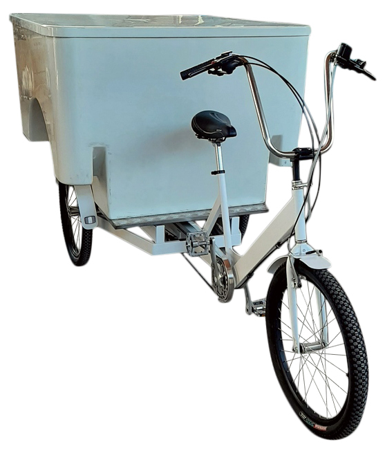 Triciclo_da_carico_da_lavoro_Cargo_Bike_ITALY_con_Box_Posteriore_Vetroresina_05